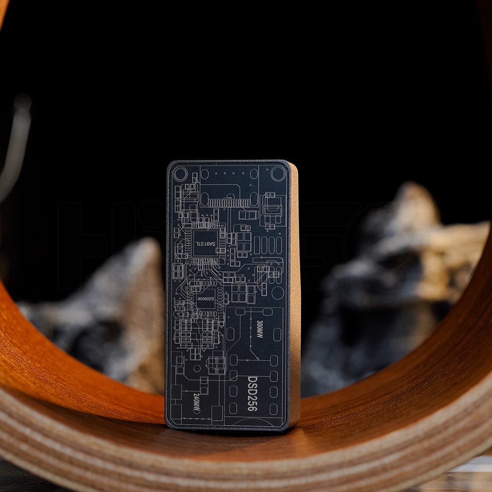ROSESELSA RS9039 Portable Flag - огляд і ціна Dac With Headphone Amp Balanced
