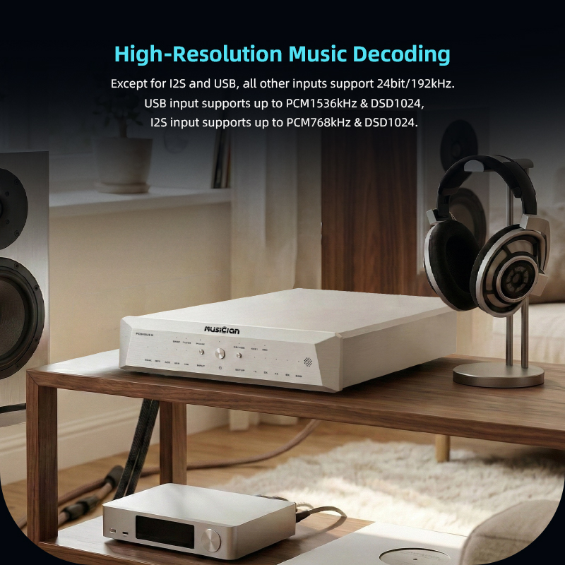 MUSICIAN PEGASUS III R2R DAC 2 - огляд і ціна R2R Dac Balanced Xlr