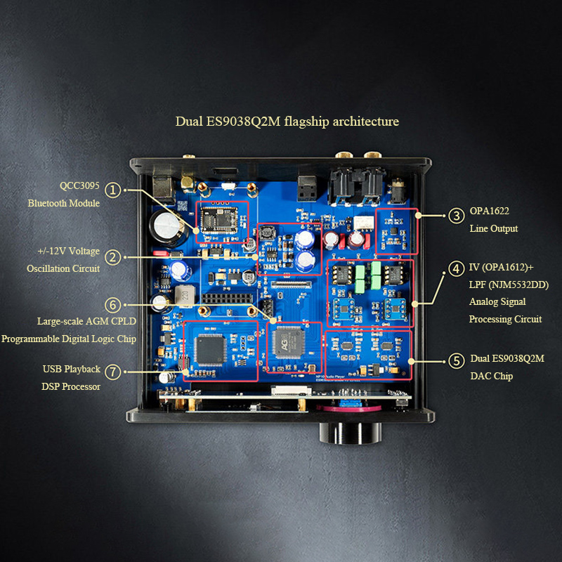 NP10H Lossless Audio Decoder D - огляд і ціна Dac Usb Coaxial Optical Bluetooth