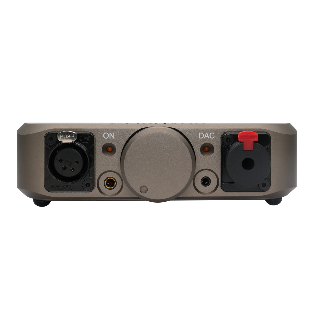FangSound Silenos Integrated D - огляд і ціна R2R Dac Balanced Xlr