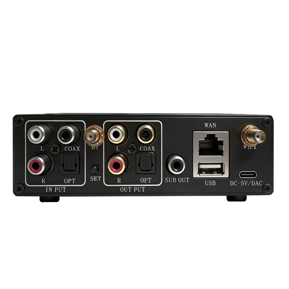 WR30 PRO WiFi Bluetooth Music  - огляд і ціна Dac Streamer Network Player