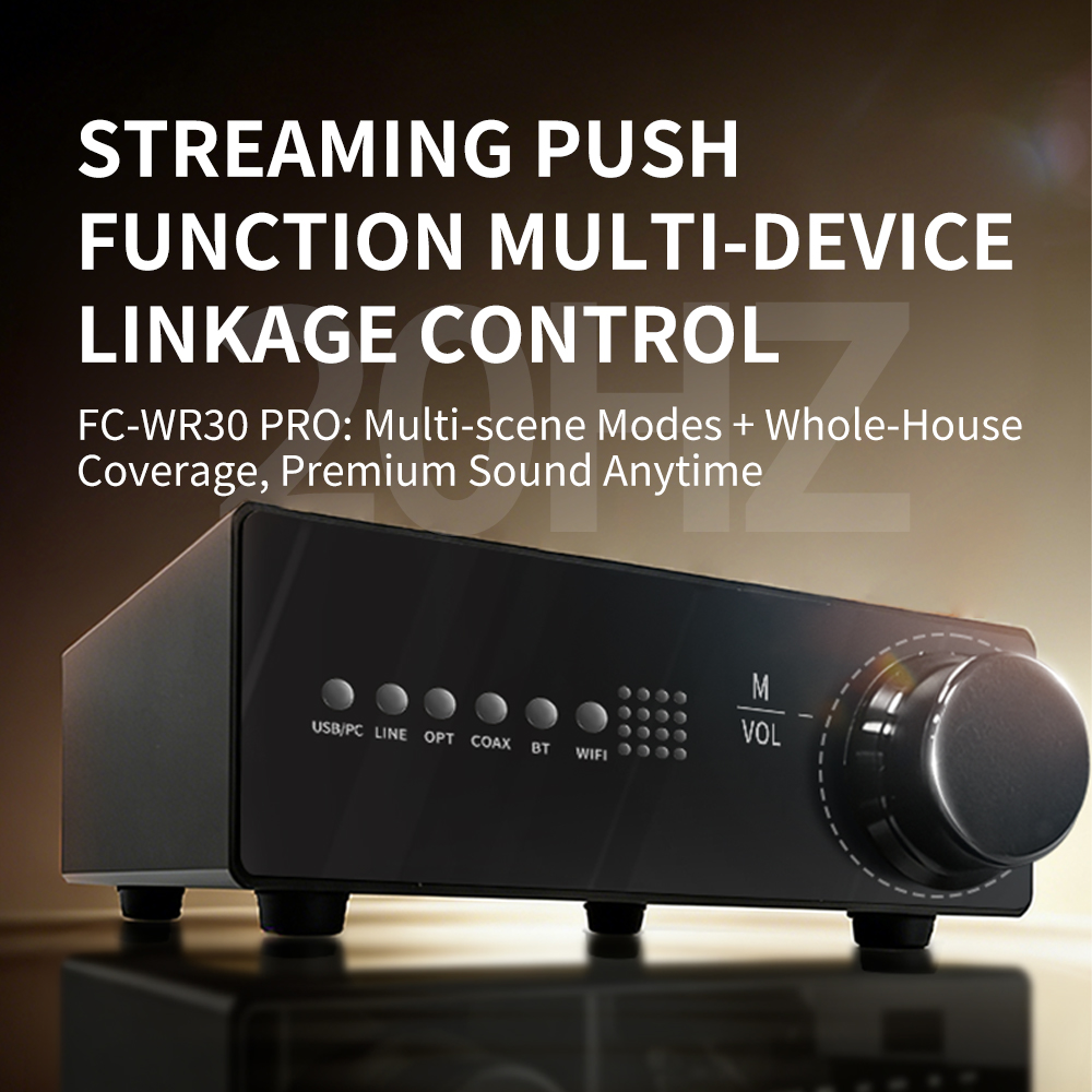 WR30 PRO WiFi Bluetooth Music  - огляд і ціна Dac Streamer Network Player
