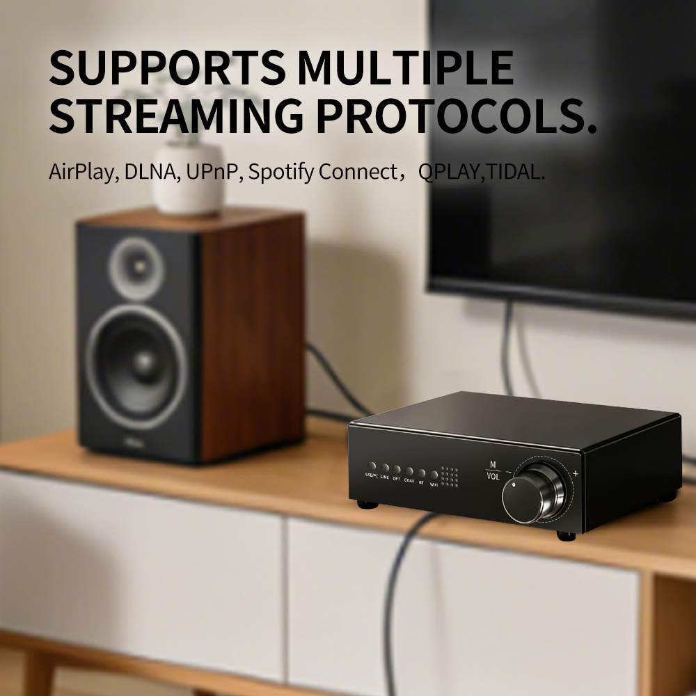 WR30 PRO WiFi Bluetooth Music  - огляд і ціна Dac Streamer Network Player